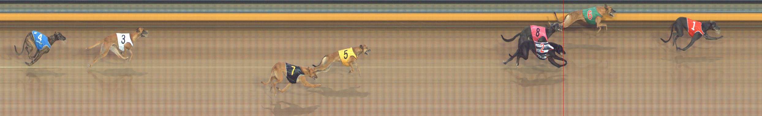 Race result finish photo